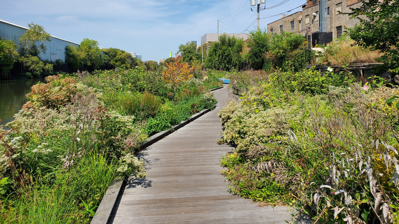 Wild Mile park in Chicago