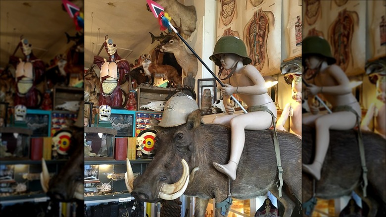 Oddities at Woolly Mammoth, Chicago