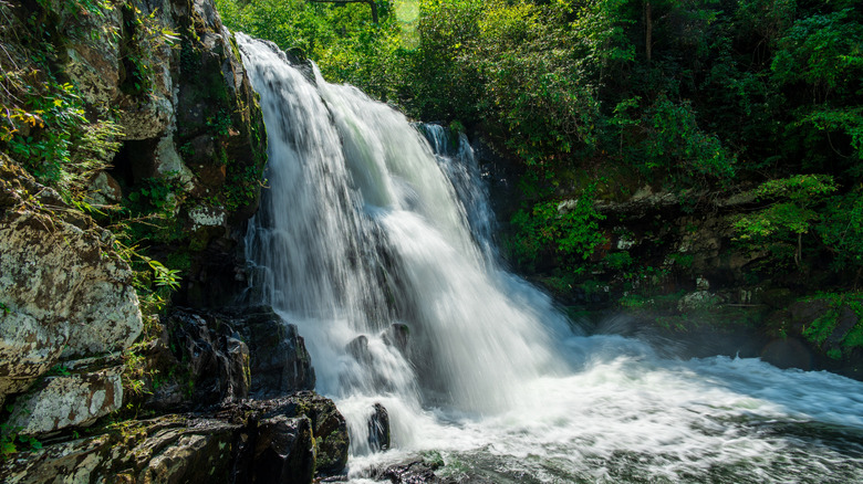 Abrams Falls Waterfall in the Great Smoky Mountains National Park