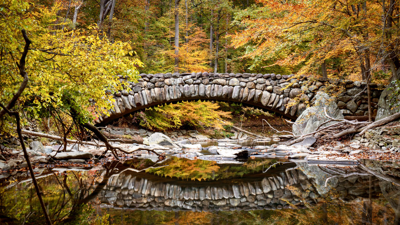 A picturesque stone bridge in Rock Creek Park in Washington DC in the fall