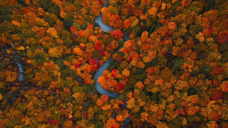Aerial view of one of Vermont's byways covered in fall foliage