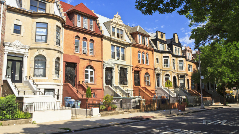 Brownstones in Crown Heights, Brooklyn