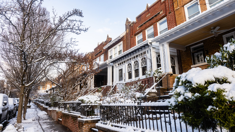 Houses in Brooklyn's Windsor Terrace