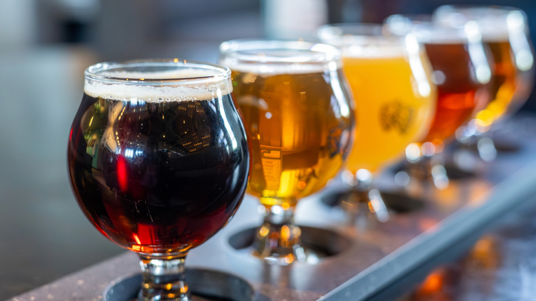 Sampling paddle of beers in several different shades