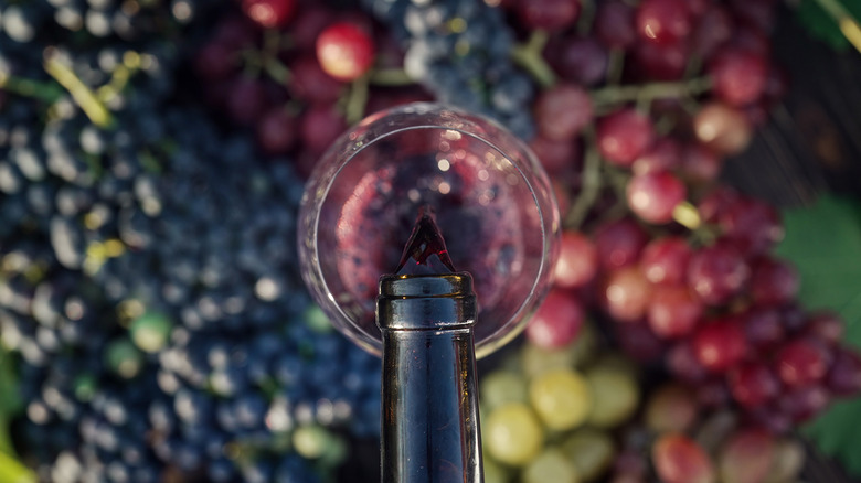 Glass of red wine poured over bunches of grapes