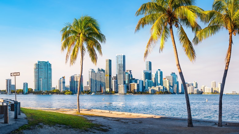 A beach in Miami, Florida