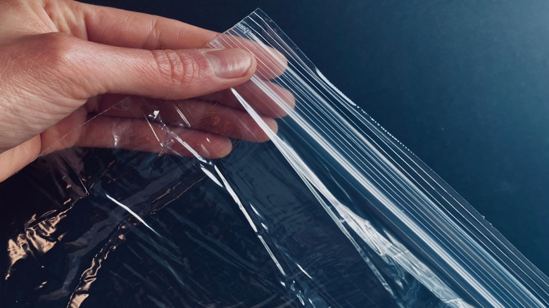 A hand holding a Ziploc bag