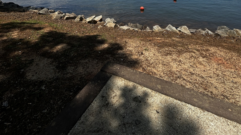The shore of Lake Hartwell
