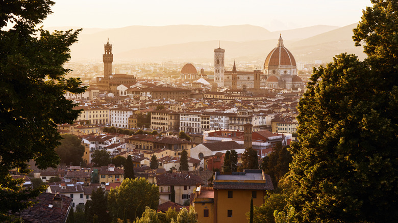 View of the Florence skyline on a sunny evening from the trees above