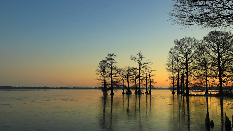 Sunrise over Reelfoot Lake