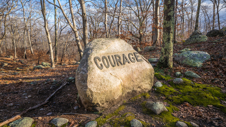 A boulder in Dogtown with the inscription "Courage"