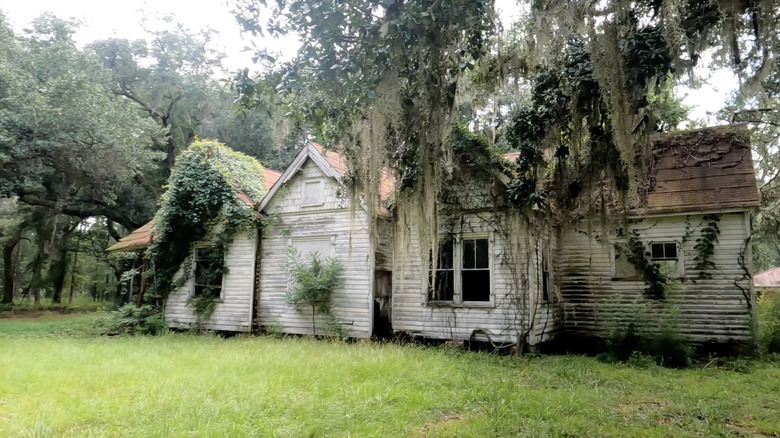 Abandoned house white clapboards shingles with trees in front