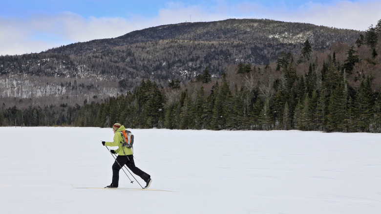 Nordic skier in NY