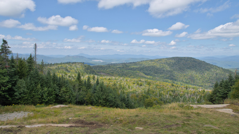 View from Gore Mt. NY