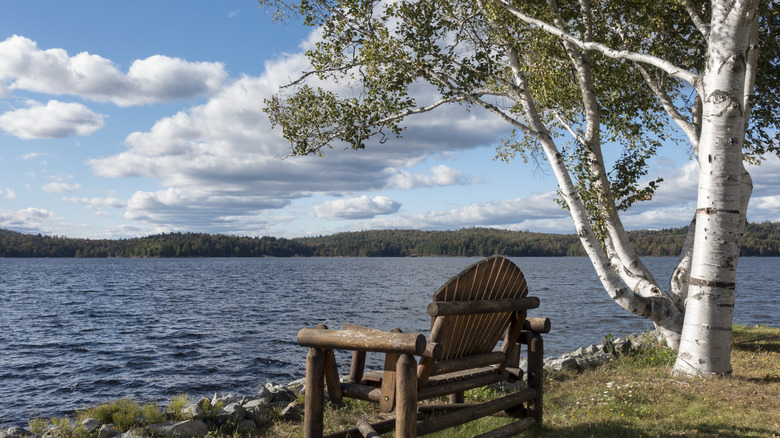 Adirondack chair facing water from the shore