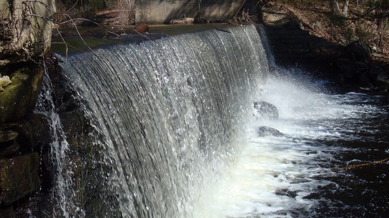 A waterfall in the middle of a pond in a wooded area