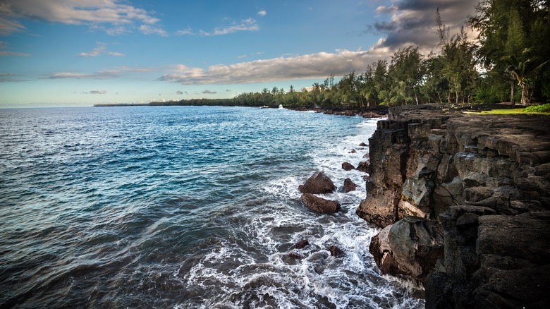 coastline of Hilo