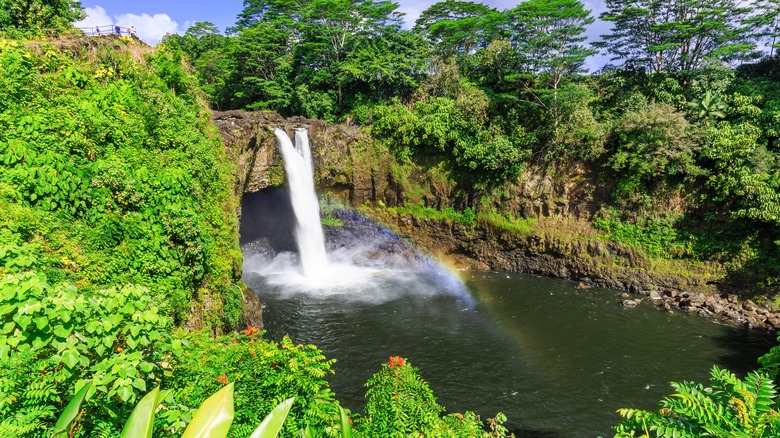 waterfall in Hilo, Hawaii