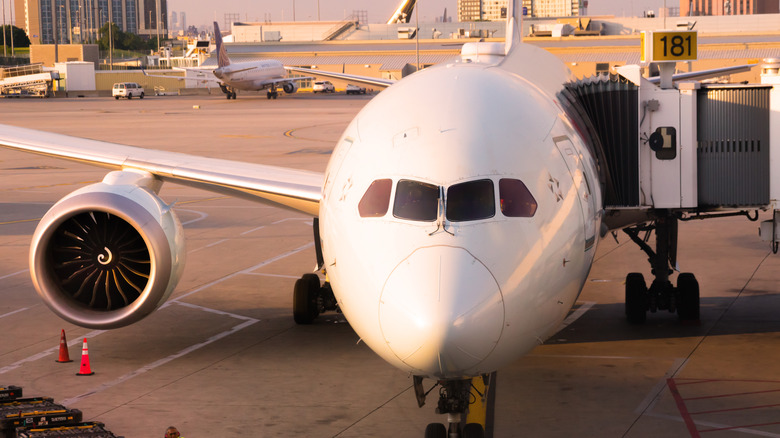 The front nose view of an Air Canada plane sitting at the loading bridge on an airport runway
