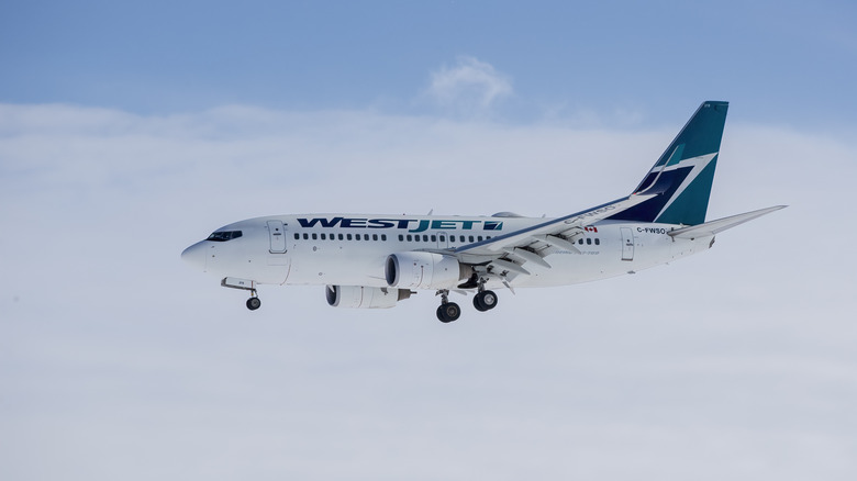 WestJet plane in flight