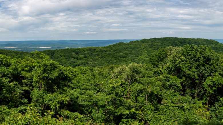 Panoramic view from Monte Sano State Park
