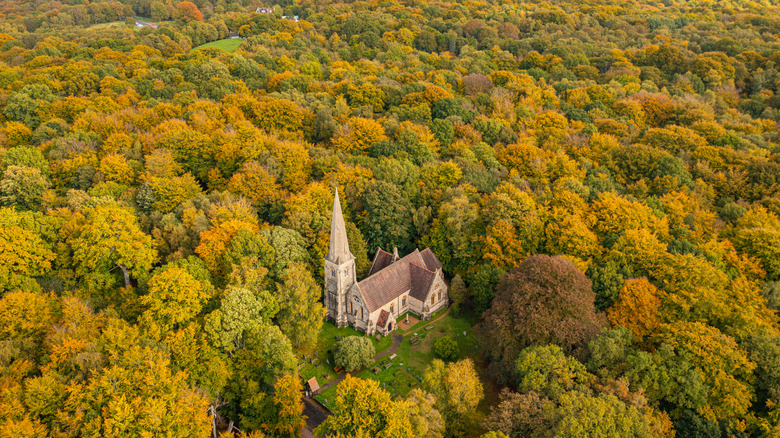 Aerial view of a church in Epping Forest