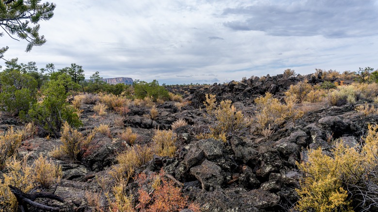 The Zuni-Acoma Trail, New Mexico.