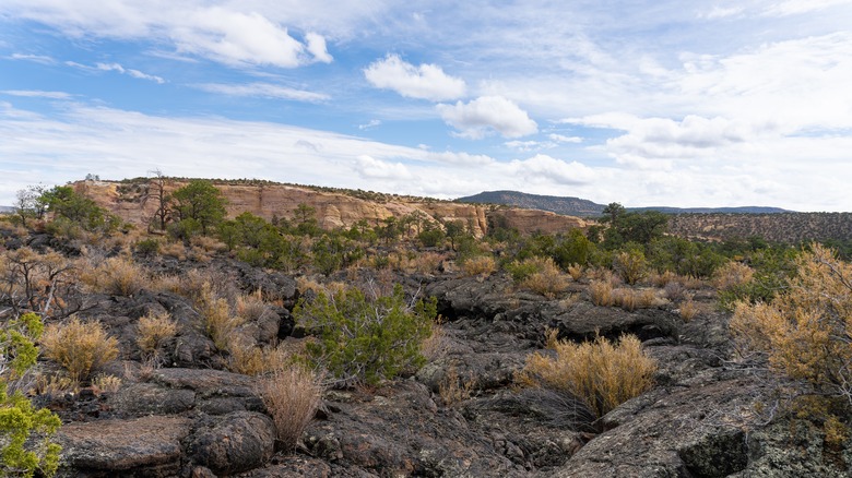 An ancient black lava field in front of sandstone cliffs alone