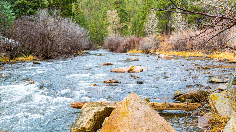 Pecos River running through the wilderness