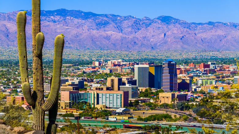 Tucson, Arizona city skyline with a cactus in the foreground