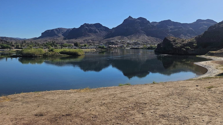 A small beach on the Colorado River in River Island State Park, Arizona