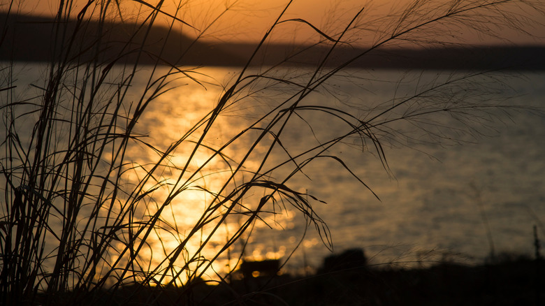 Tallgrass prairie on the shores of Lake Skiatook at sunset
