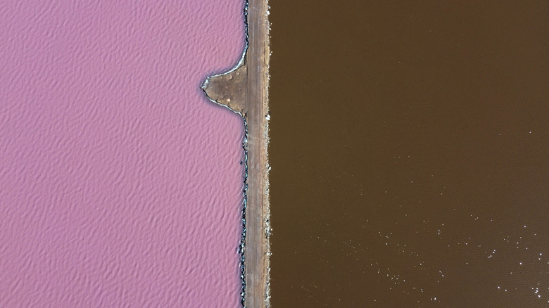 Striking color contrast at Hutt Lagoon from above