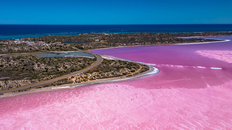 Drone photo of Hutt Lagoon