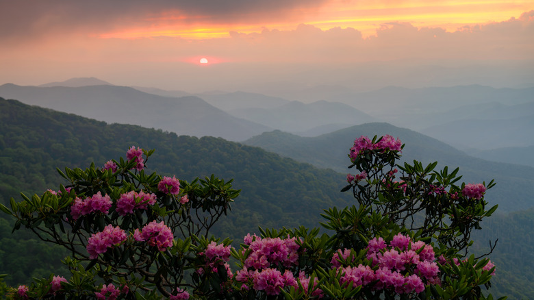 Smoky sunset over the Blue Ridge Mountains