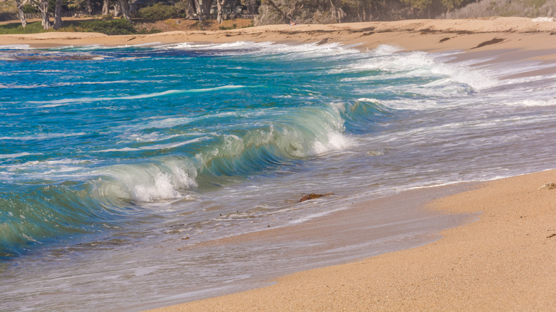Monastery Beach