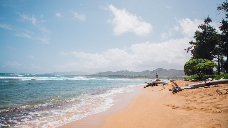 Waipouli Beach in Kapaa, Hawaii
