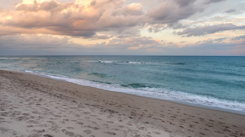 John D. MacArthur State Beach in Palm Beach County, Florida at sunset.