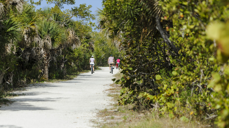 Sanibel Island, Florida, USA - Cyclists riding sandy trail through Ding Darling National Wildlife Refuge
