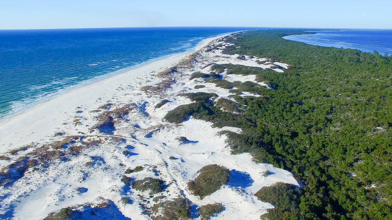 empty beach and dunes