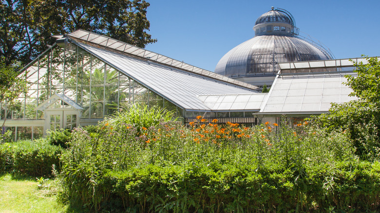 Allan Gardens Palm House conservatory