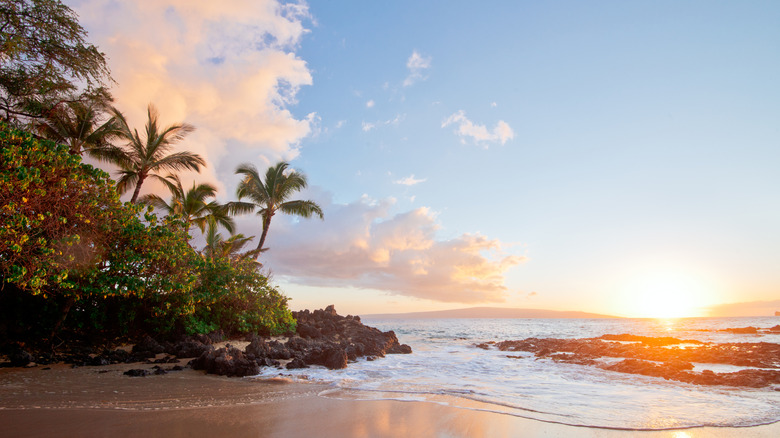 Hawaiin beach at sunset