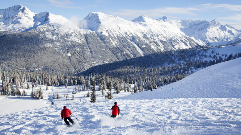 Two people skiing down the mountains at Whistler Blackcomb on a sunny day