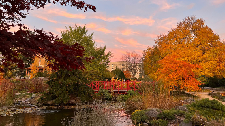 The grounds of Allen Centennial Garden at sunset in the University of Wisconsin–Madison, Madison, Wisconsin