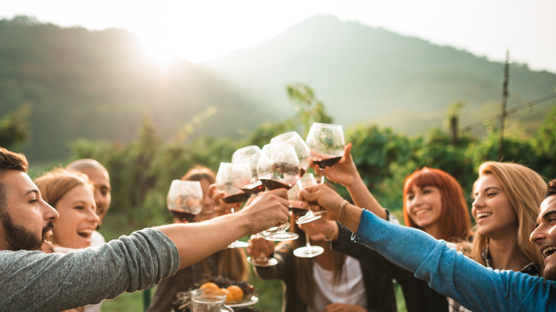 Friends toasting with wine in a vineyard