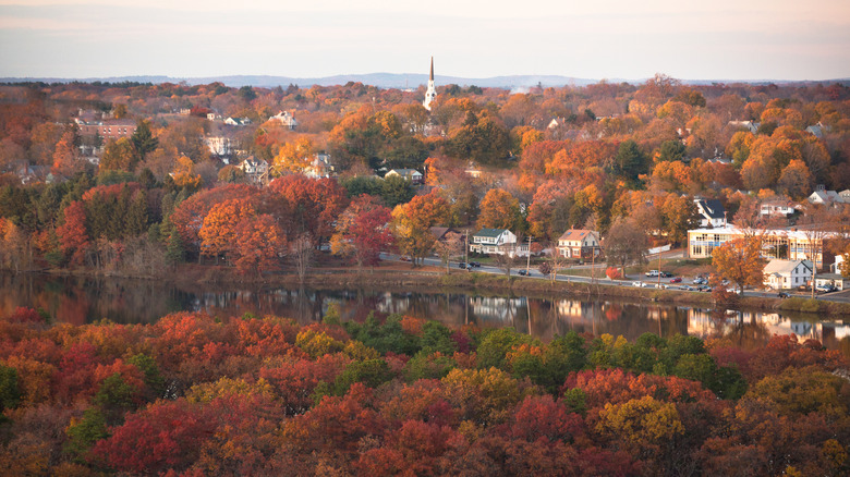 Aerial shot of Needham, MA and the surrounding area