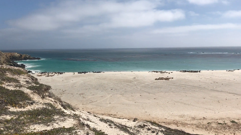 Coastline of Point Bennett, San Miguel Island