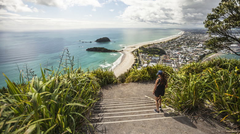 Panoramic ocean views from a hiking trail above a city in New Zealand