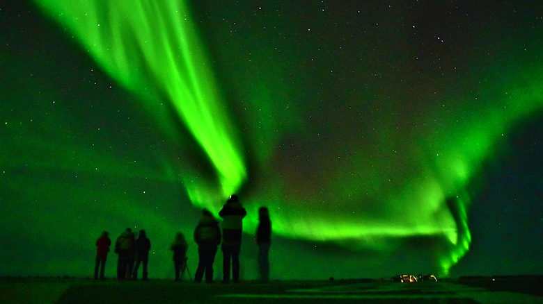 A group of people standing on the deck of a ship at night admire the southern lights