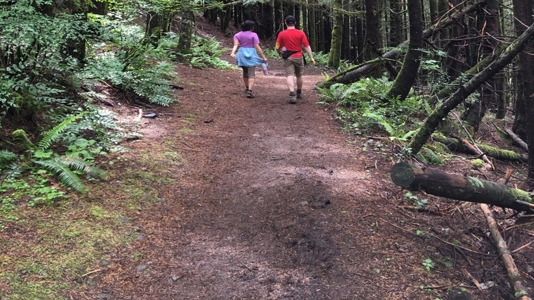 Two people hike a path between trees in Seattle